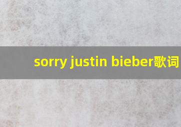 sorry justin bieber歌词